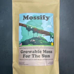 mousse sèche pour le soleil face avant