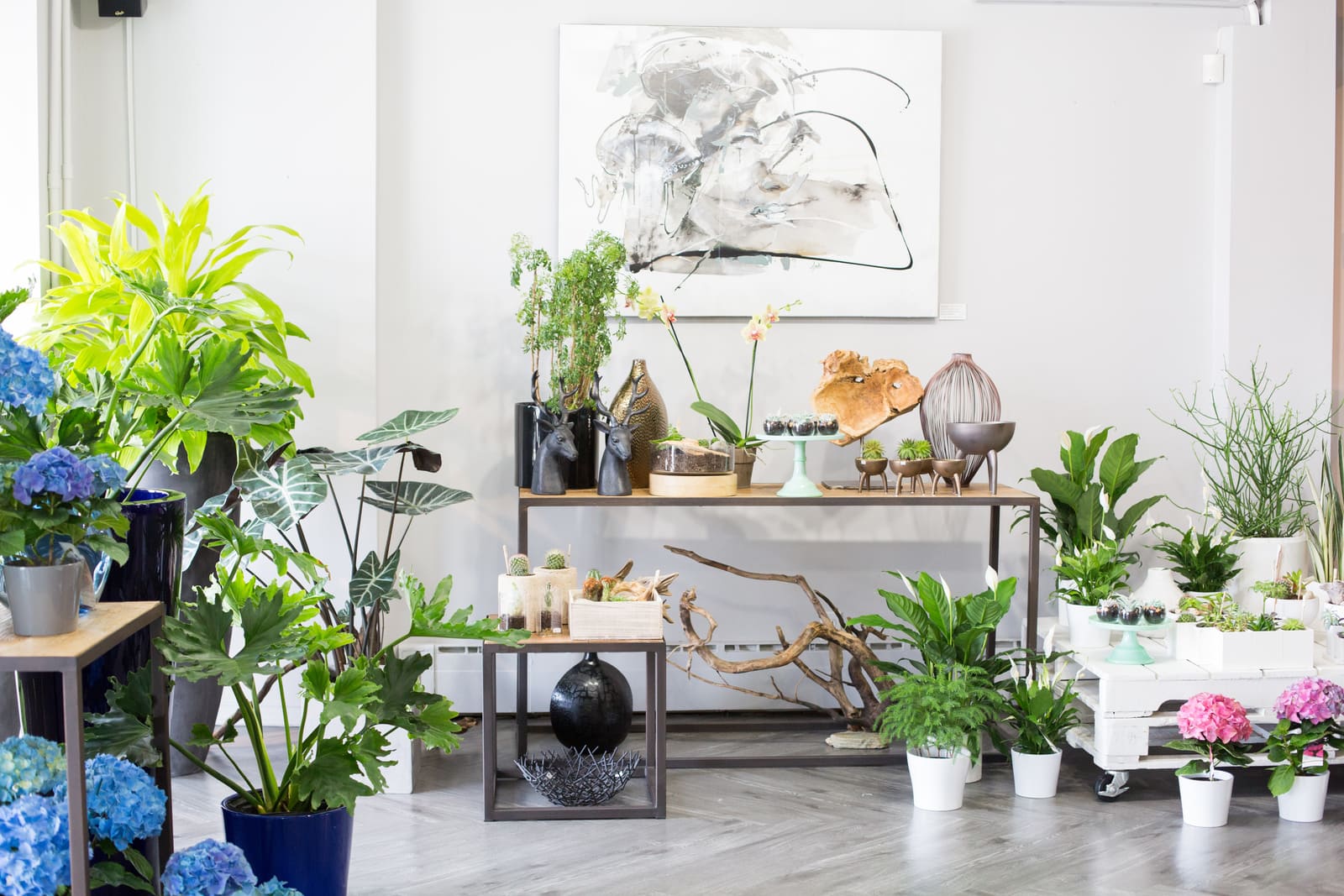 Vue d'ensemble d'un coin d'un fleuriste avec des plantes vertes, des fleurs fushia, des vases design et de tête de cerfs noires en décoration